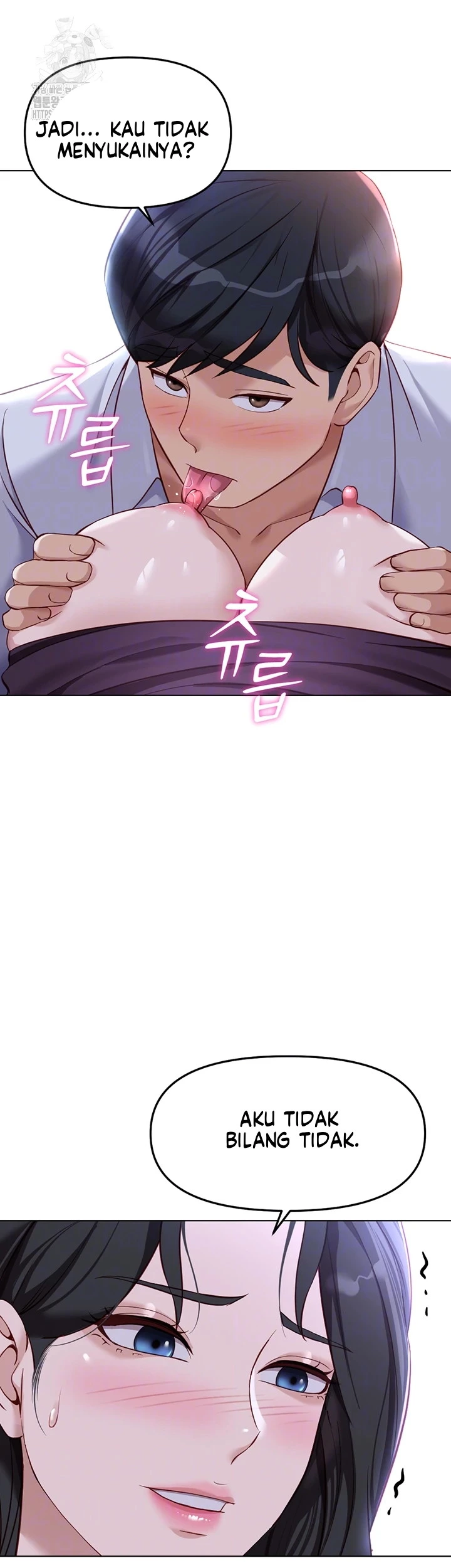 Common Sense Manipulation Program - Page 4